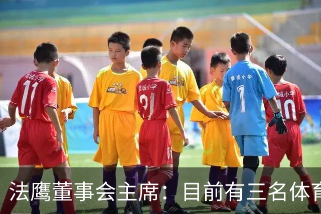法鹰董事会主席：目前有三名体育总监候选人，很快将做决定