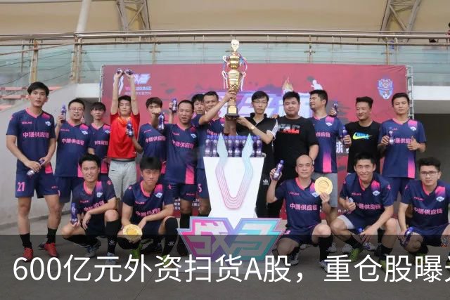 600亿元外资扫货A股，重仓股曝光